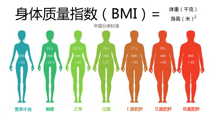 BMI指数男女标准